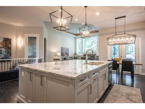 51 Cranleigh Mews Se, Calgary, AB - Indoor Photo Showing Kitchen With Upgraded Kitchen