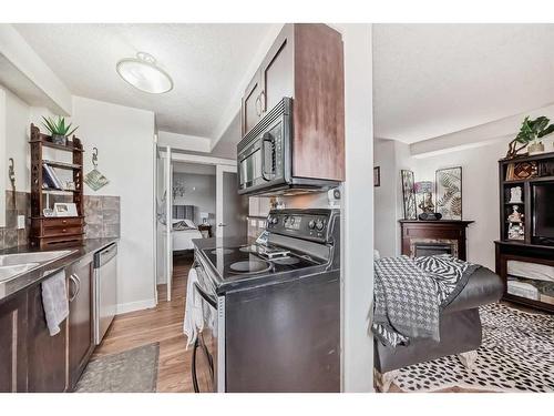 202-1908 11 Avenue Sw, Calgary, AB - Indoor Photo Showing Kitchen With Double Sink