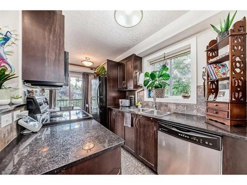 202-1908 11 Avenue Sw, Calgary, AB - Indoor Photo Showing Kitchen With Double Sink