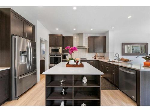 171 Red Sky Crescent Ne, Calgary, AB - Indoor Photo Showing Kitchen With Stainless Steel Kitchen With Upgraded Kitchen