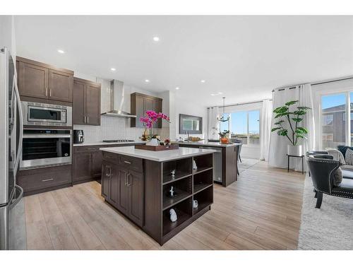 171 Red Sky Crescent Ne, Calgary, AB - Indoor Photo Showing Kitchen With Stainless Steel Kitchen With Upgraded Kitchen