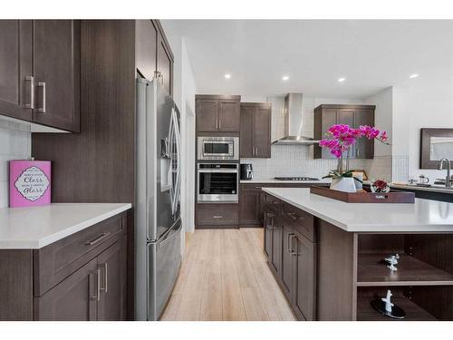 171 Red Sky Crescent Ne, Calgary, AB - Indoor Photo Showing Kitchen With Stainless Steel Kitchen With Upgraded Kitchen