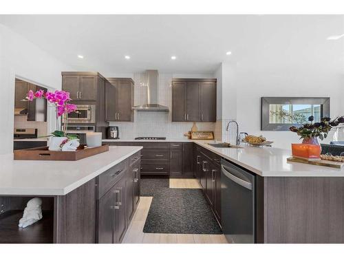 171 Red Sky Crescent Ne, Calgary, AB - Indoor Photo Showing Kitchen With Upgraded Kitchen