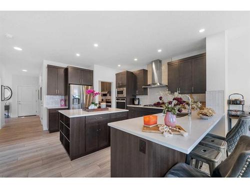 171 Red Sky Crescent Ne, Calgary, AB - Indoor Photo Showing Kitchen With Upgraded Kitchen