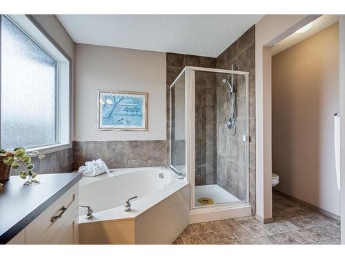 20 Brightondale Green Se, Calgary, AB - Indoor Photo Showing Bathroom