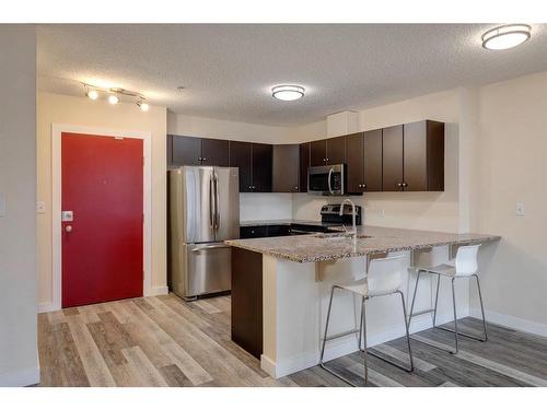 312-1053 10 Street Sw, Calgary, AB - Indoor Photo Showing Kitchen With Stainless Steel Kitchen With Double Sink