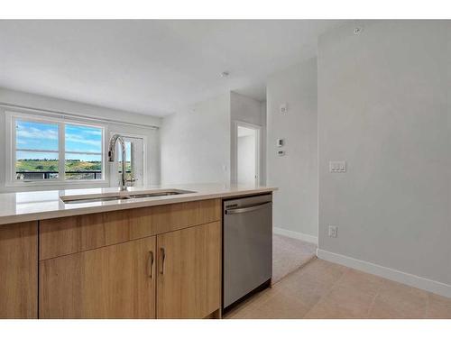 418-125 Wolf Hollow Crescent Se, Calgary, AB - Indoor Photo Showing Kitchen With Double Sink