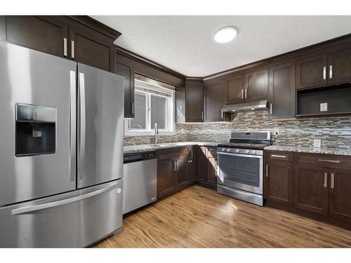 167 Castlebrook Drive Ne, Calgary, AB - Indoor Photo Showing Kitchen With Double Sink With Upgraded Kitchen