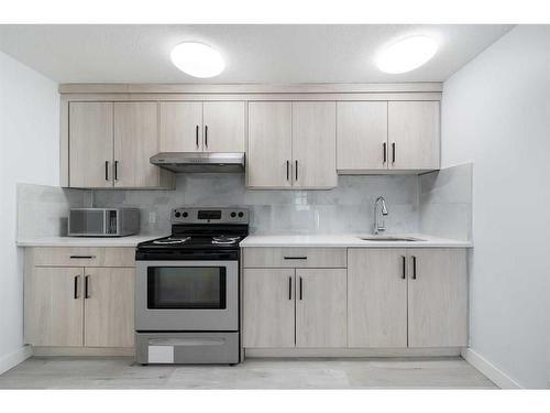 167 Castlebrook Drive Ne, Calgary, AB - Indoor Photo Showing Kitchen