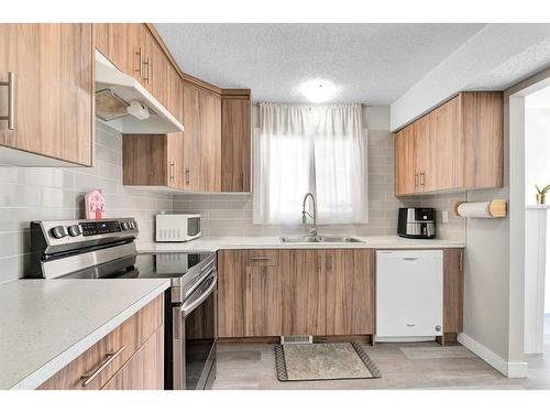 11 Falchurch Road Ne, Calgary, AB - Indoor Photo Showing Kitchen With Double Sink