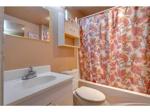 807 Erin Woods Drive Se, Calgary, AB - Indoor Photo Showing Bathroom