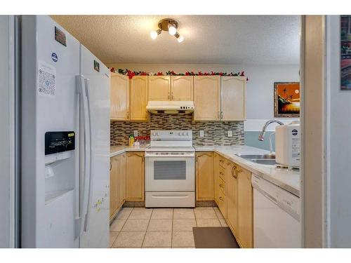 807 Erin Woods Drive Se, Calgary, AB - Indoor Photo Showing Kitchen With Double Sink