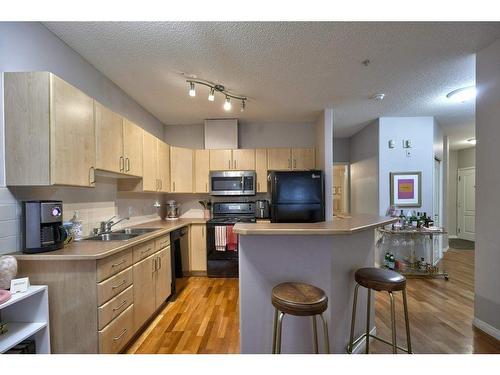 103-1026 12 Avenue Sw, Calgary, AB - Indoor Photo Showing Kitchen With Double Sink