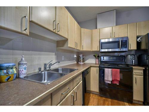 103-1026 12 Avenue Sw, Calgary, AB - Indoor Photo Showing Kitchen With Double Sink