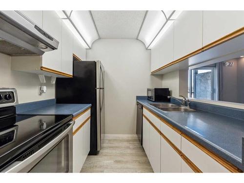 201-10 Dover Point Se, Calgary, AB - Indoor Photo Showing Kitchen With Double Sink