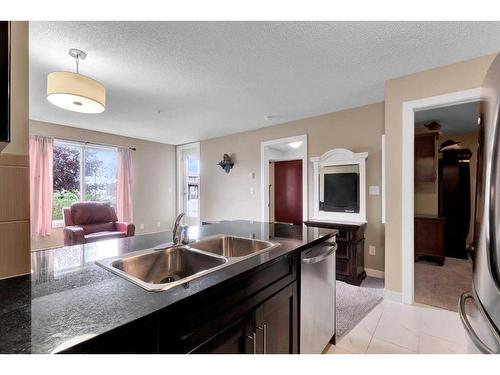 110-7210 80 Avenue Ne, Calgary, AB - Indoor Photo Showing Kitchen With Double Sink