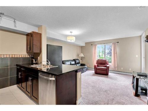 110-7210 80 Avenue Ne, Calgary, AB - Indoor Photo Showing Kitchen With Double Sink