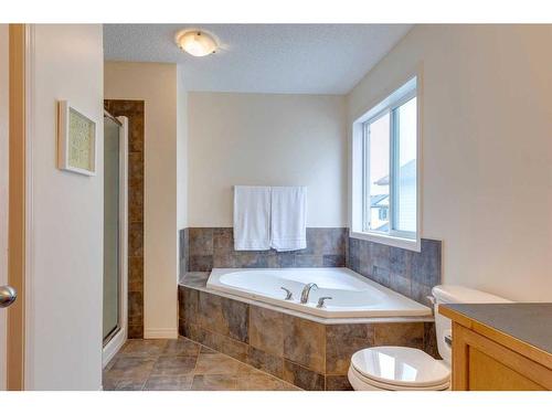 49 Everglen Crescent Sw, Calgary, AB - Indoor Photo Showing Bathroom