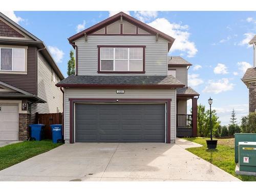 228 Sagewood Landing Sw, Airdrie, AB - Outdoor