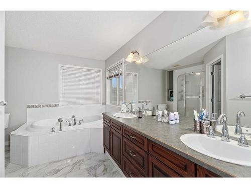 276 Cove Dr, Chestermere, AB - Indoor Photo Showing Bathroom