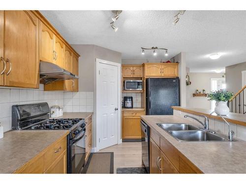 250 Saddlecrest Close Ne, Calgary, AB - Indoor Photo Showing Kitchen With Double Sink