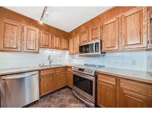 303-1334 13 Avenue Sw, Calgary, AB - Indoor Photo Showing Kitchen With Double Sink