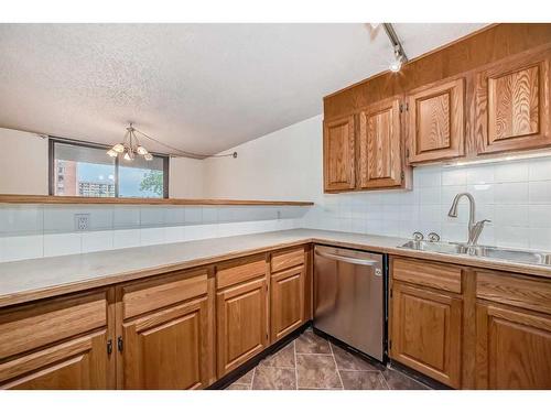 303-1334 13 Avenue Sw, Calgary, AB - Indoor Photo Showing Kitchen With Double Sink