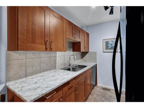 96-251 90 Avenue Se, Calgary, AB - Indoor Photo Showing Kitchen With Double Sink