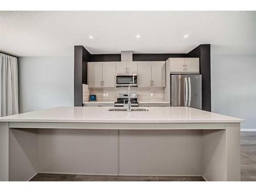 151 Magnolia Terrace Se, Calgary, AB - Indoor Photo Showing Kitchen With Stainless Steel Kitchen With Upgraded Kitchen