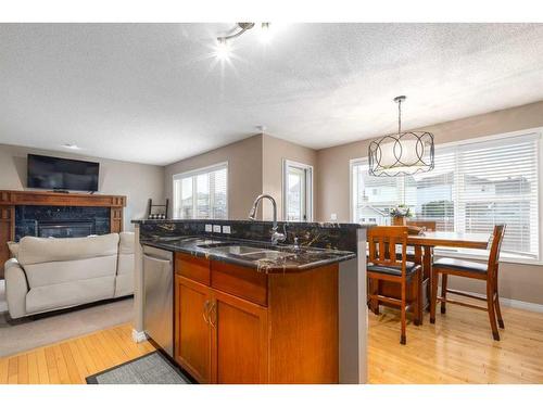 19 Copperfield Common Se, Calgary, AB - Indoor With Fireplace