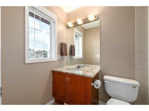 19 Copperfield Common Se, Calgary, AB - Indoor Photo Showing Bathroom