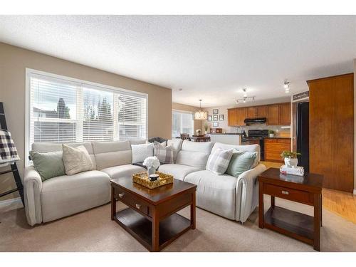 19 Copperfield Common Se, Calgary, AB - Indoor Photo Showing Living Room