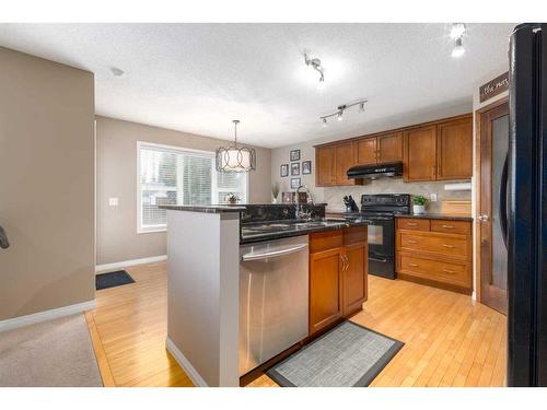 19 Copperfield Common Se, Calgary, AB - Indoor Photo Showing Kitchen With Double Sink