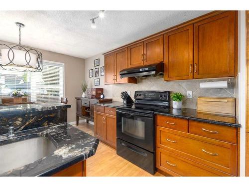 19 Copperfield Common Se, Calgary, AB - Indoor Photo Showing Kitchen