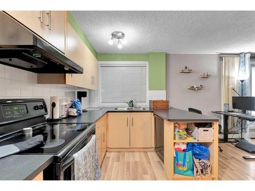 101-655 Meredith Road Ne, Calgary, AB - Indoor Photo Showing Kitchen With Double Sink