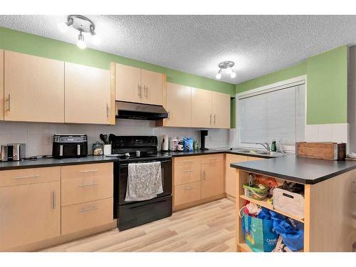 101-655 Meredith Road Ne, Calgary, AB - Indoor Photo Showing Kitchen With Double Sink