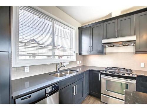 110 Nolan Hill Heights Nw, Calgary, AB - Indoor Photo Showing Kitchen With Stainless Steel Kitchen With Double Sink With Upgraded Kitchen