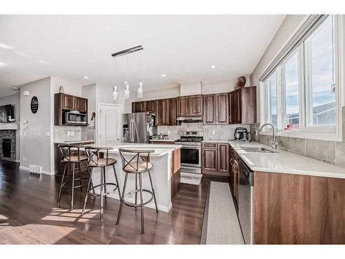 17 Red Embers Row Ne, Calgary, AB - Indoor Photo Showing Kitchen With Stainless Steel Kitchen With Upgraded Kitchen