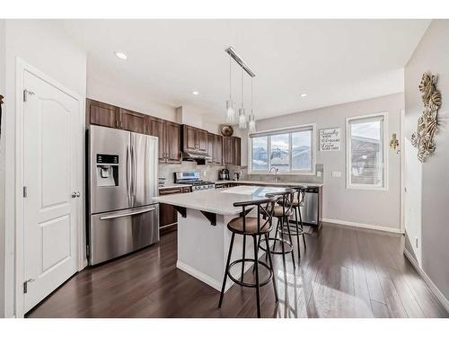 17 Red Embers Row Ne, Calgary, AB - Indoor Photo Showing Kitchen With Stainless Steel Kitchen With Upgraded Kitchen