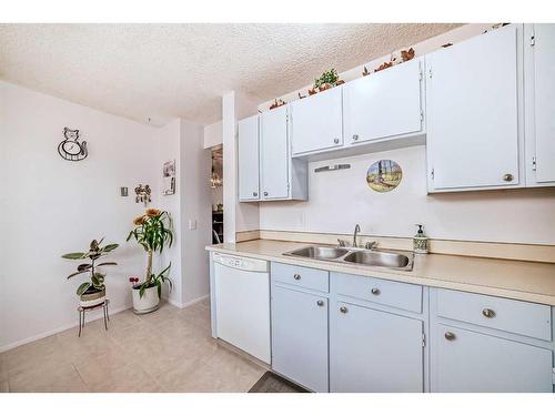 22 Erin Croft Crescent Se, Calgary, AB - Indoor Photo Showing Kitchen With Double Sink