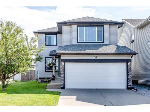 239 Citadel Meadow Bay Nw, Calgary, AB - Outdoor