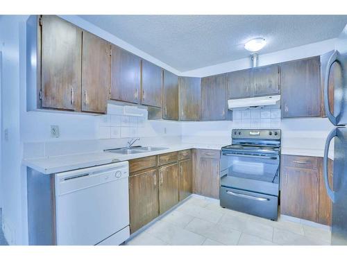 55 Falbury Crescent Ne, Calgary, AB - Indoor Photo Showing Kitchen With Double Sink