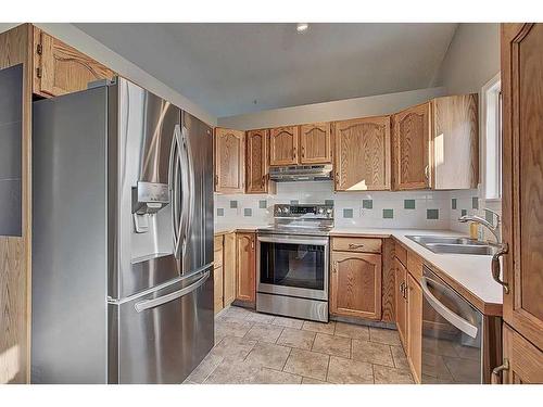 135 Erin Meadow Green Se, Calgary, AB - Indoor Photo Showing Kitchen With Double Sink