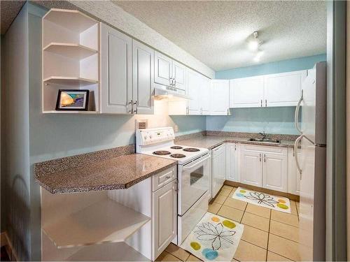 204-1234 14 Avenue Sw, Calgary, AB - Indoor Photo Showing Kitchen