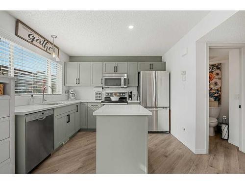 549 Mckenzie Towne Drive Se, Calgary, AB - Indoor Photo Showing Kitchen