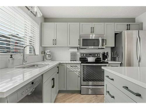 549 Mckenzie Towne Drive Se, Calgary, AB - Indoor Photo Showing Kitchen With Double Sink