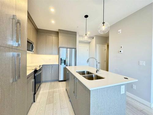 2214-395 Skyview Parkway Ne, Calgary, AB - Indoor Photo Showing Kitchen With Double Sink With Upgraded Kitchen