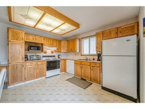 223 Coventry Close Ne, Calgary, AB - Indoor Photo Showing Kitchen With Double Sink