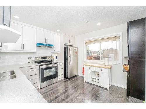 369 Falshire Drive Ne, Calgary, AB - Indoor Photo Showing Kitchen With Double Sink