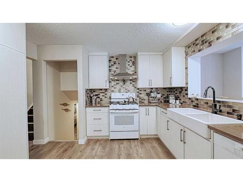 7508 7 Street Nw, Calgary, AB - Indoor Photo Showing Kitchen With Double Sink